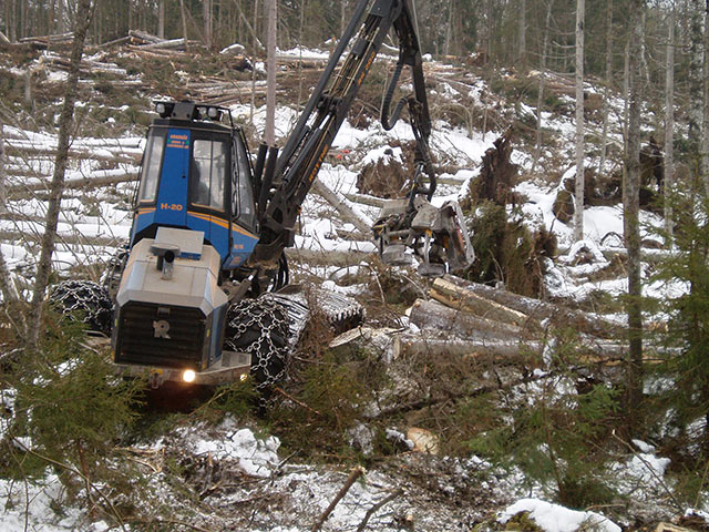 Slutavverkning
